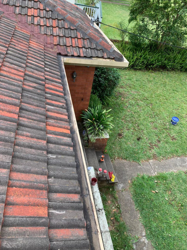 gutter cleaning 
